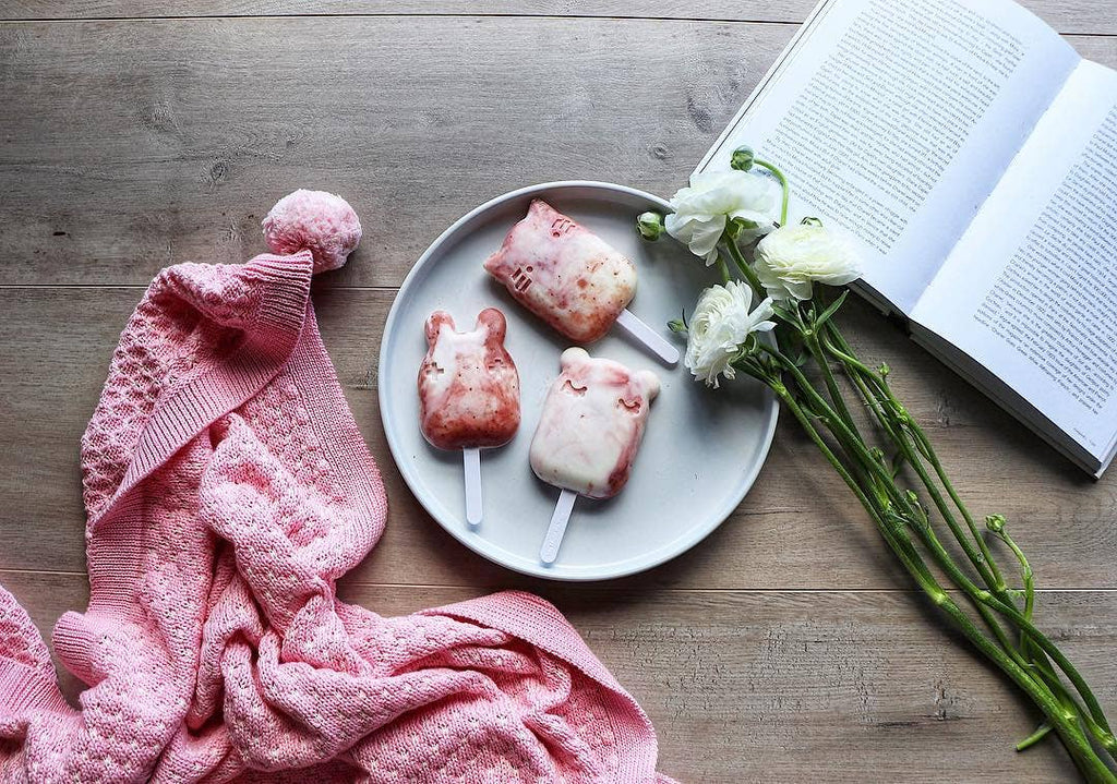 Icy pole sticks (set of 6)