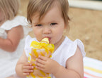 Food Pouch & Breast Milk Bag Organiser