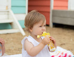 Food Pouch & Breast Milk Bag Organiser